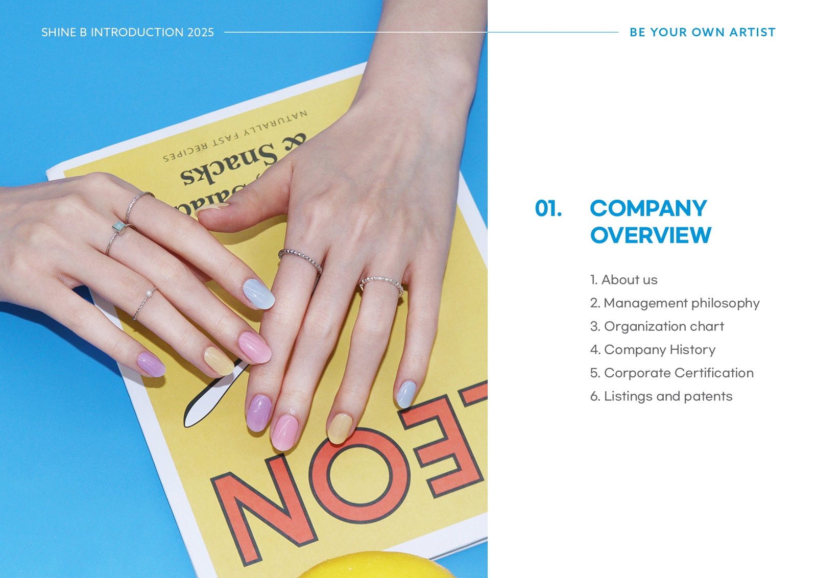 SHINE B Company Introduction Slide 3